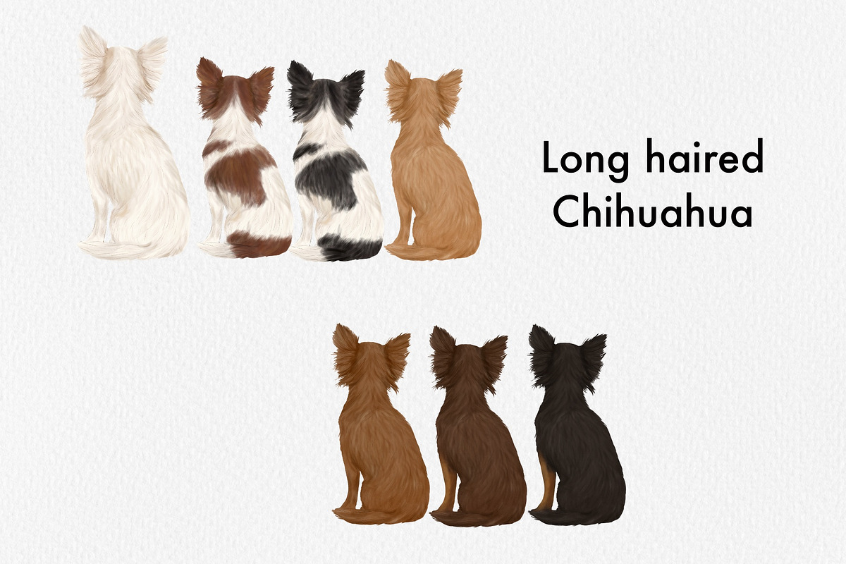 Watercolor Small Dog Breeds Vol 2, an Animal Illustration by ColorfulPT (Photo 2 of 8)