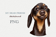 Dog dachshund, an Animal Illustration by sheincar (Thumbnail 1 of 3)