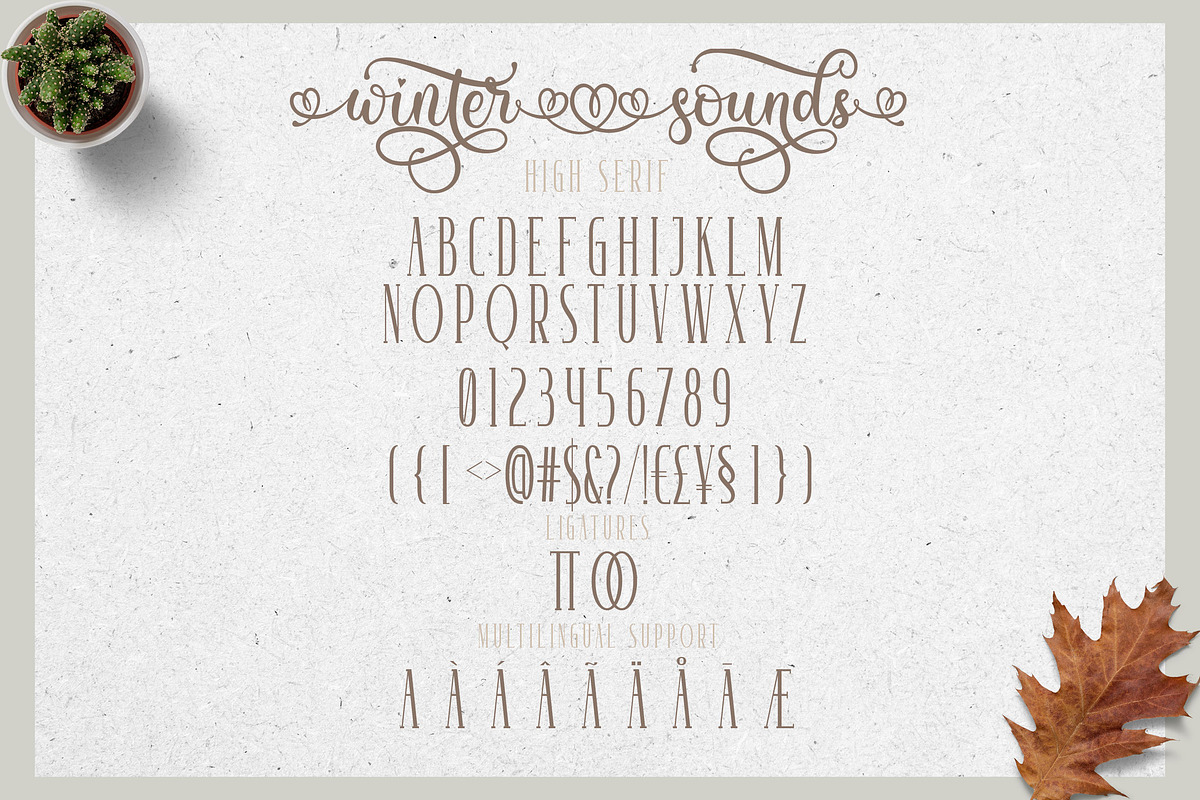 Winter Sounds | All Season Fonts, a Script Font by Almeera Std (Photo 14 of 15)