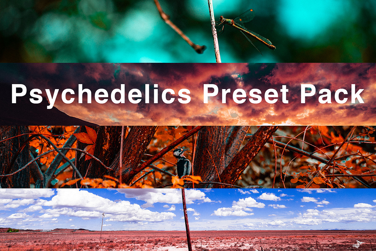 Psychedelics - Lightroom Presets, an Action Add-On by maximakesthings (Photo 1 of 5)