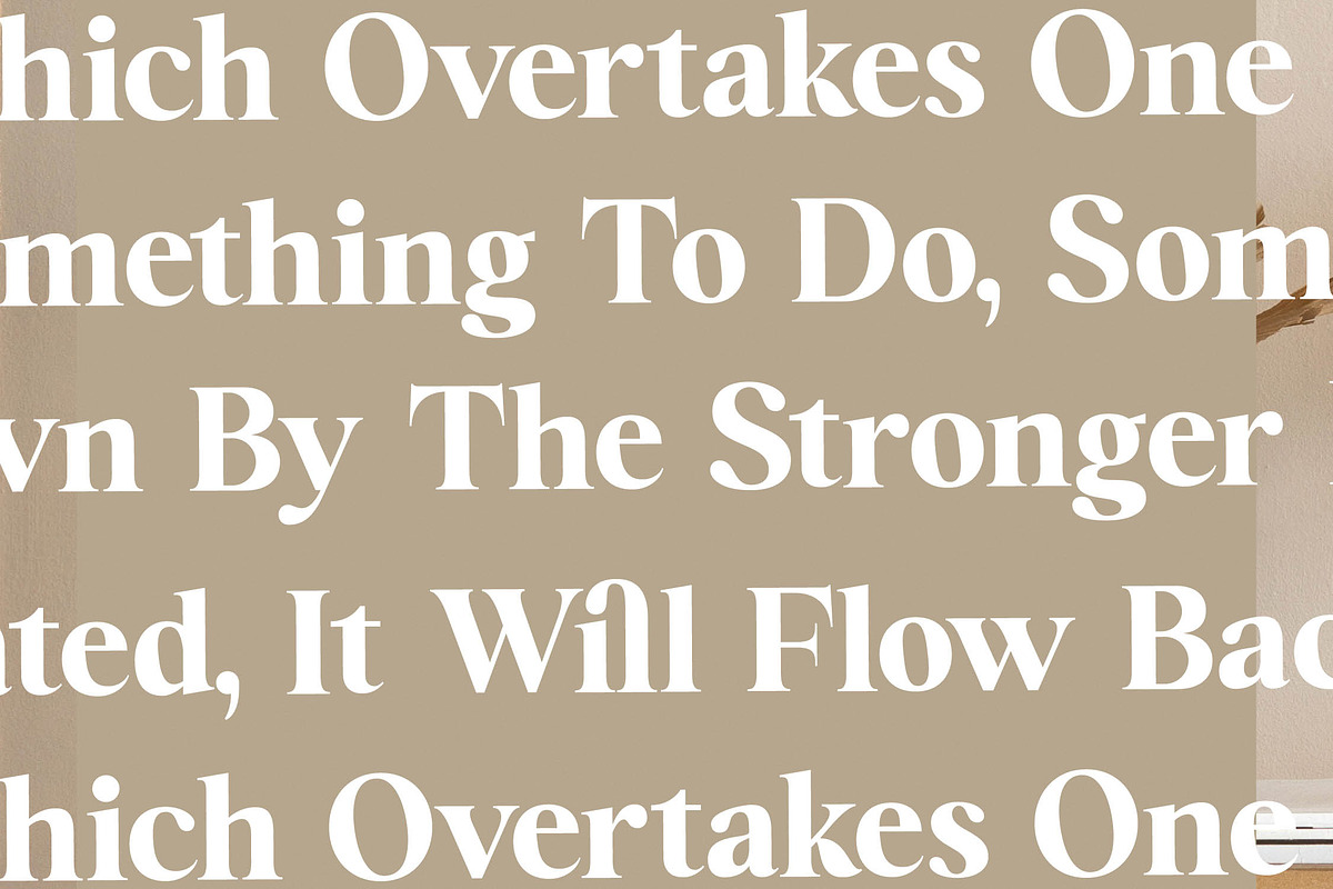 Brilyan Rogale Modern Vintage Serif, a Serif Font by Letterena Studios (Photo 8 of 15)
