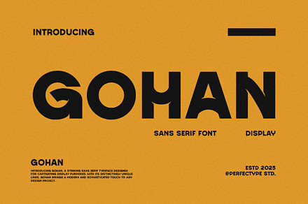 Gohan Modern Futuristic Sans Serif, a Sans Serif Font by Perfectype
