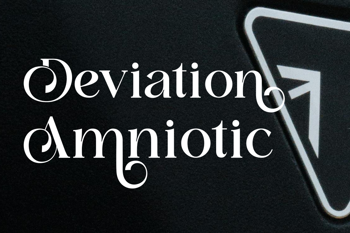 Domilla, a Serif Font by zaaintype (Photo 6 of 12)