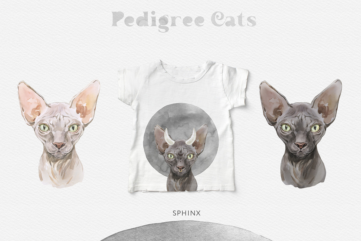 Feline Nature. Cat Portrait Creator, an Illustration by Cat In Colour (Photo 4 of 14)