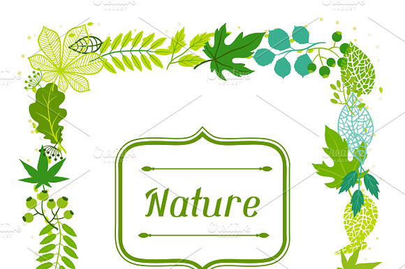 Backgrounds Of Green Leaves.