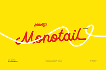 Monotail Script | Monoline Font