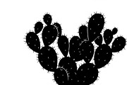 collection desert cactus silhouettes, an Illustration by Amazin_art (Thumbnail 14 of 33)