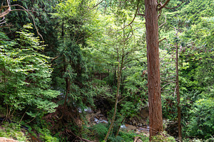 Hiking trail through the Nakasendo between Magome and Tsumago, J