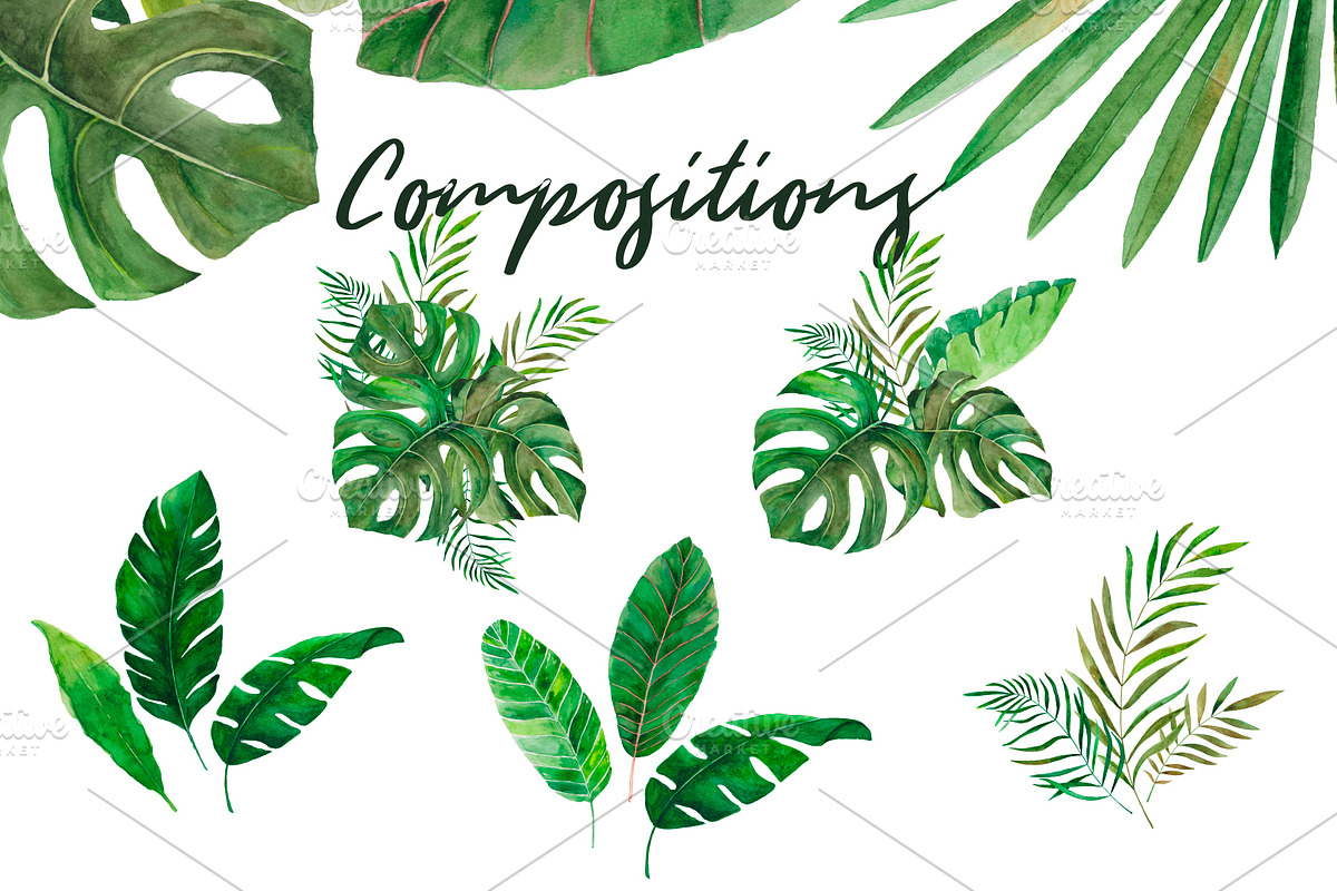 Amazonia. Tropical leaves, a Decorative Illustration by SaharaArt (Photo 3 of 8)