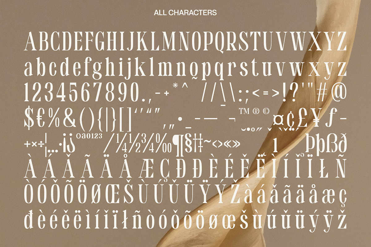 Benida – Elegant Serif, a Serif Font by Craft Supply Co. (Photo 6 of 8)