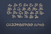 Carmela Bold Script, a Script Font by DonMarciano (Thumbnail 2 of 5)