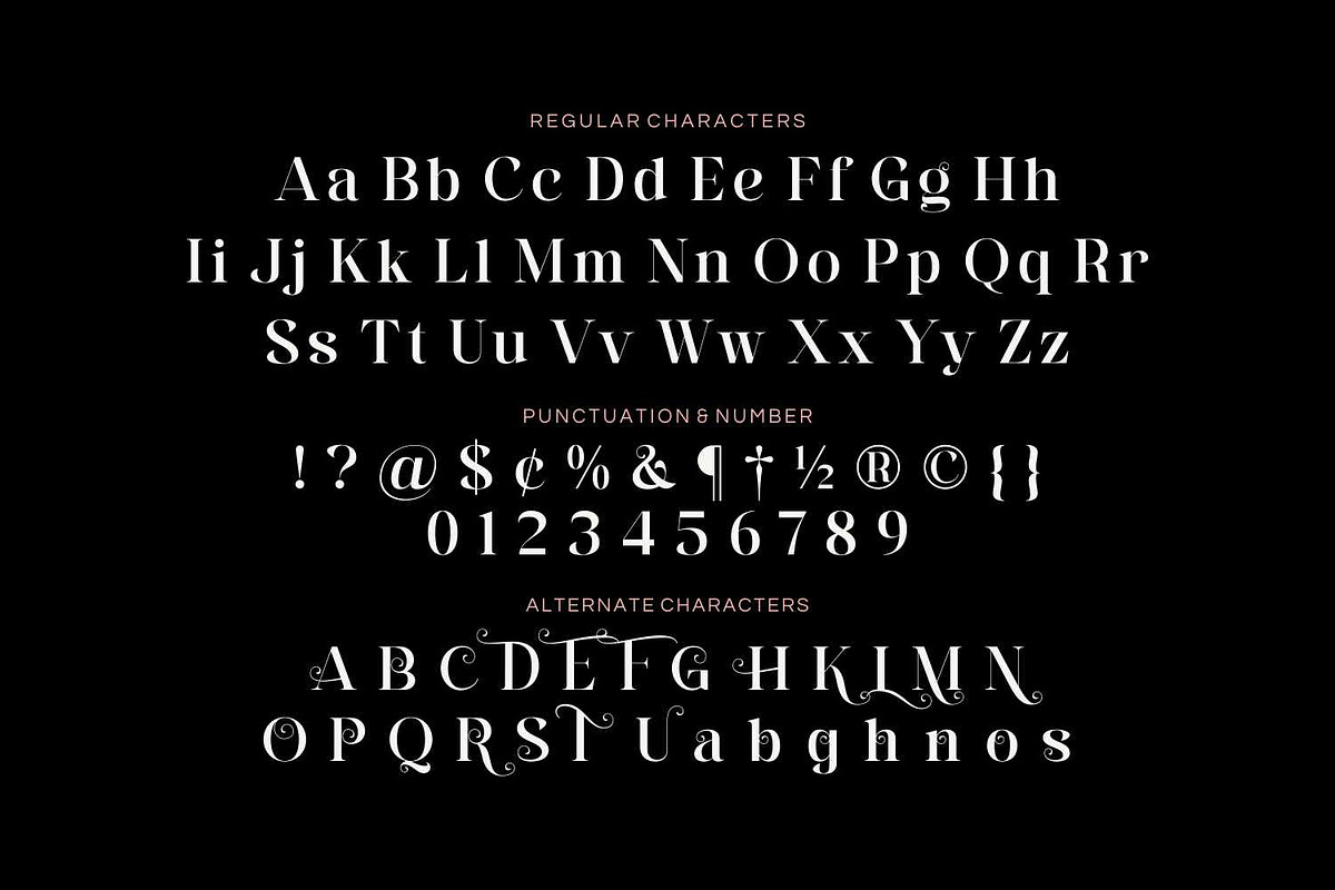 Eko Ringlos - Beautiful Serif Font, a Serif Font by Imoodev (Photo 5 of 5)