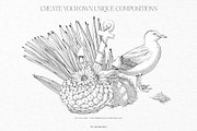 Summer Island Illustrations, an Animal Illustration by GVGraphics (Thumbnail 6 of 9)