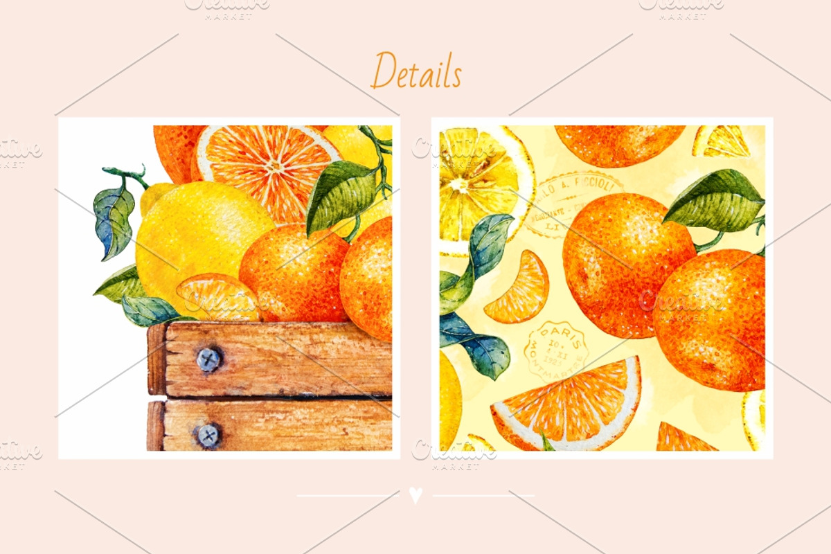 Citrus. Watercolor., a Decorative Illustration by Ekaterina Mikheeva (Photo 5 of 6)