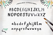 Premium Font Bundle, a Script Font by Flycatcher Design (Thumbnail 133 of 140)