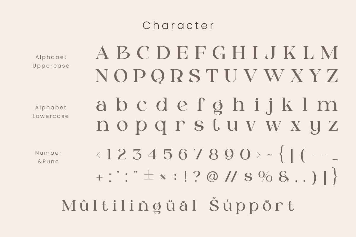 Caluxe – Modern Luxury Serif Font, a Font by roomspace creative lab (Photo 11 of 11)