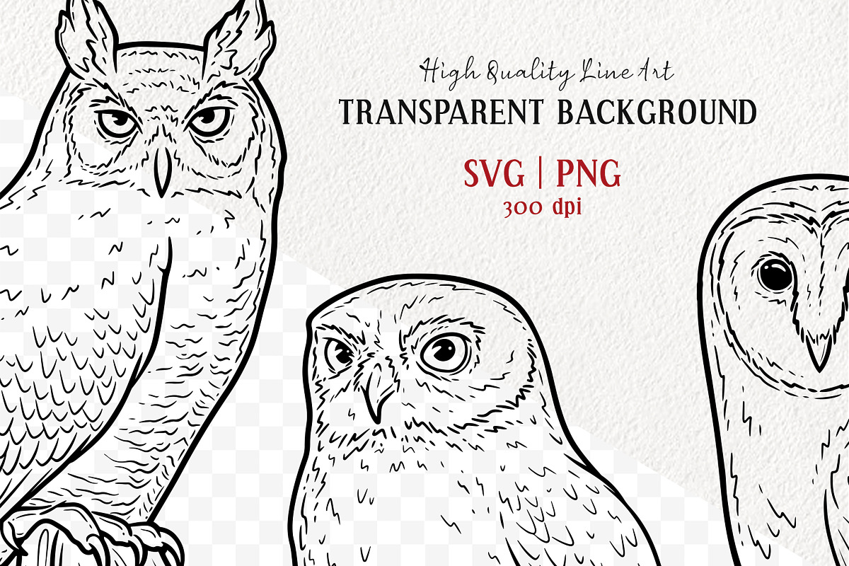 Owl Vector Line Art Set, an Illustration by MadliArt (Photo 2 of 4)