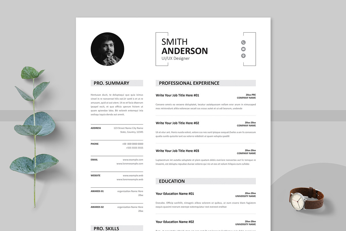 Modern Executive Resume Template preview 3