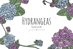 Hydrangeas - Digital Clip Art, an Illustration by DesignsByMissM