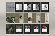 Gut Health Instagram Template, a Social Media Template by Terraa Studio Design (Thumbnail 10 of 10)