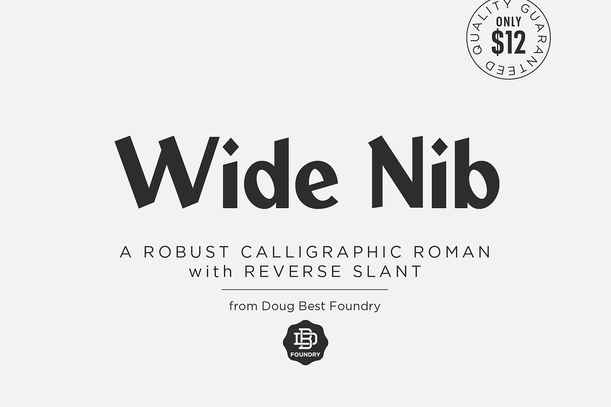 Wide Nib, a Sans Serif Font by Doug Best Foundry (Photo 2 of 3)