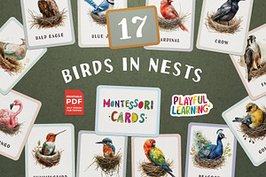 Birds and Their Nests Flash Cards