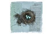 Robin's Nest Vector Illustration, a Decorative Illustration by Digital Art Downloads (Thumbnail 2 of 3)