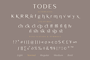 Todes, a Sans Serif Font by Larin Type Co. (Thumbnail 15 of 15)