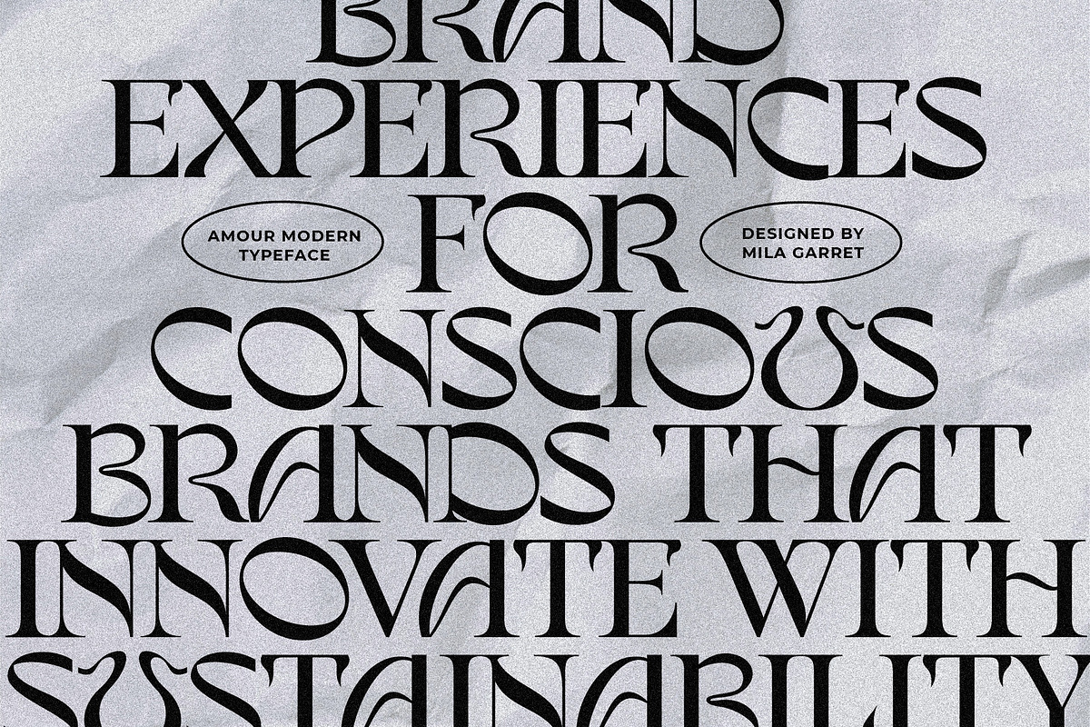 Amour Modern Display Logo Serif, a Sans Serif Font by Mila Garret (Photo 5 of 27)