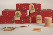 Merry & Bright – Christmas Gift Tags, an Illustration by Aurelie Maron (Thumbnail 3 of 5)