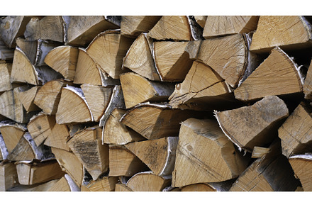 Close-up of firewood supply. Media, a Nature Photo by Media Whale Stock