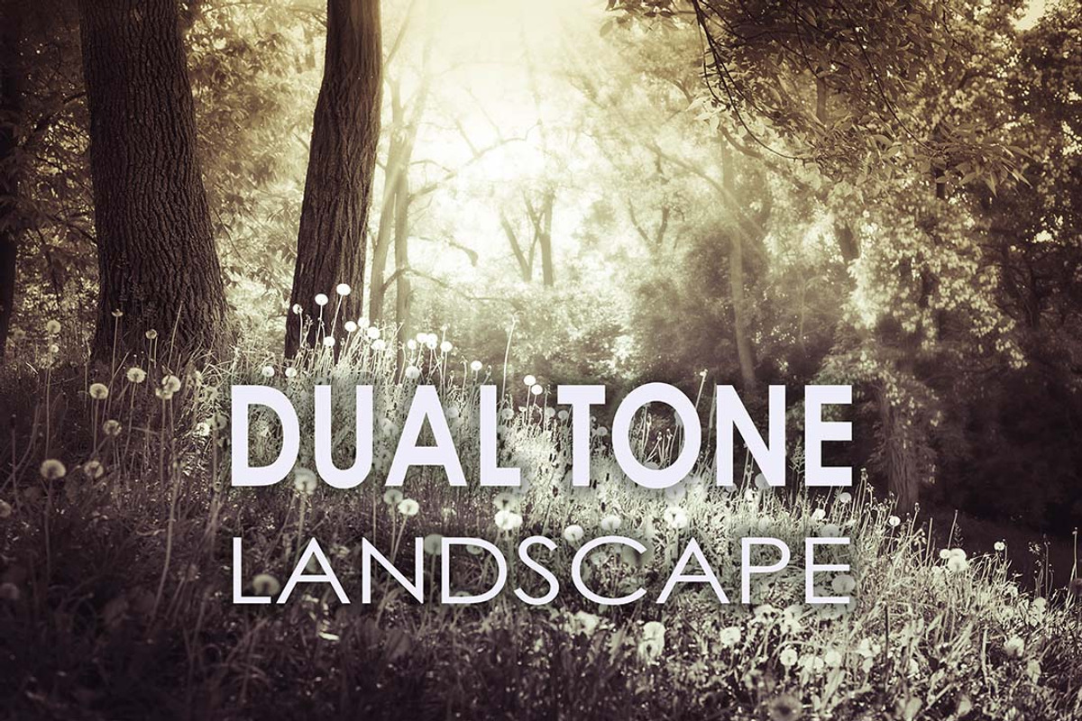 25 Dual Tone Landscape Presets, a Preset Add-On by Timeless Presets (Photo 1 of 10)