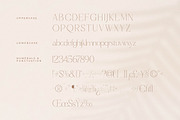 Haloyen Stylish Font Serif, a Serif Font by Storytype Studio (Thumbnail 13 of 15)