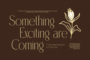 Glowing Modern Serif Font, a Serif Font by Graphicxell (Thumbnail 2 of 8)