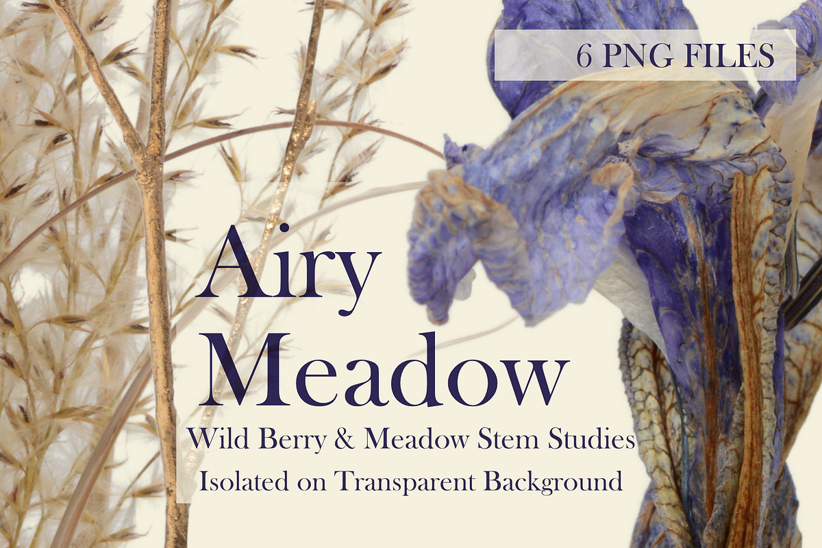 Airy Meadow Cleanly Cut Flower Photo, an Object Graphic by Aga Silva (Photo 3 of 7)