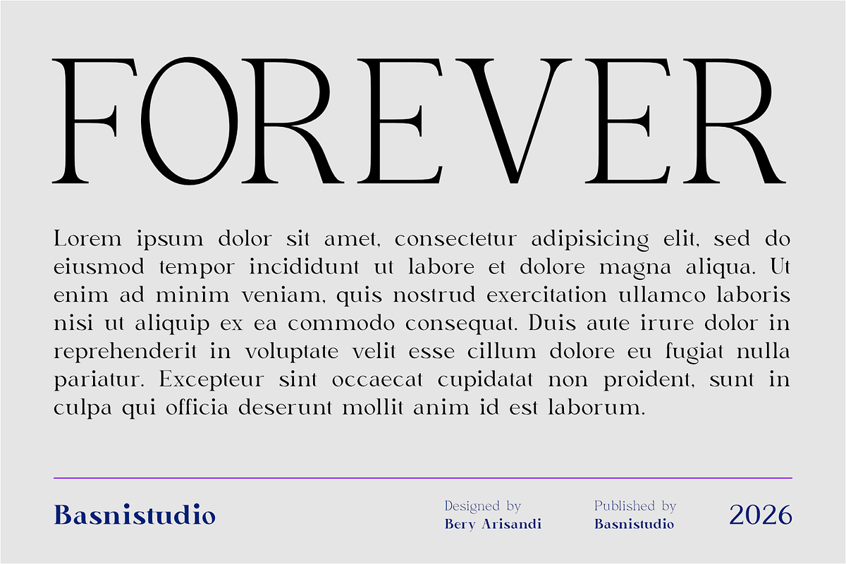 Delusion – Elegant Serif Font, a Serif Font by Basnistudio (Photo 2 of 10)