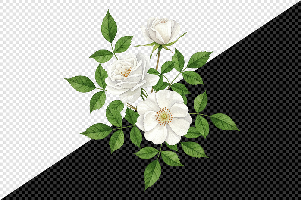 Watercolor Bushes Clipart Bundle, an Illustration by Creative Art (Photo 9 of 10)