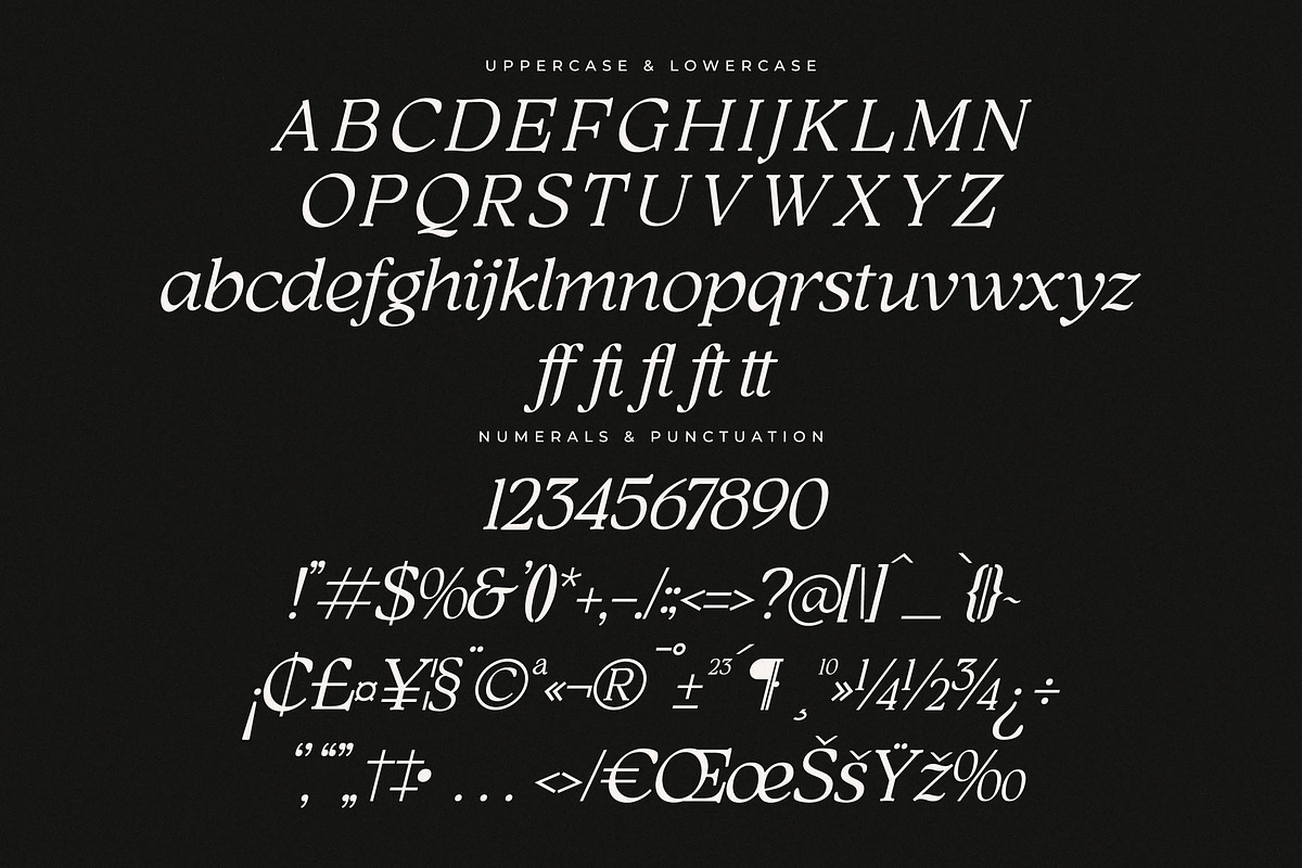 Qimano Modern Humanist Serif, a Serif Font by Letterena Studios (Photo 14 of 15)