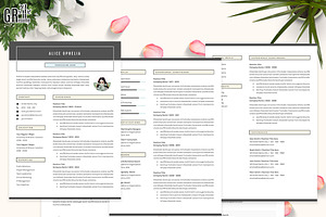 5 Pages Resume - CV Template