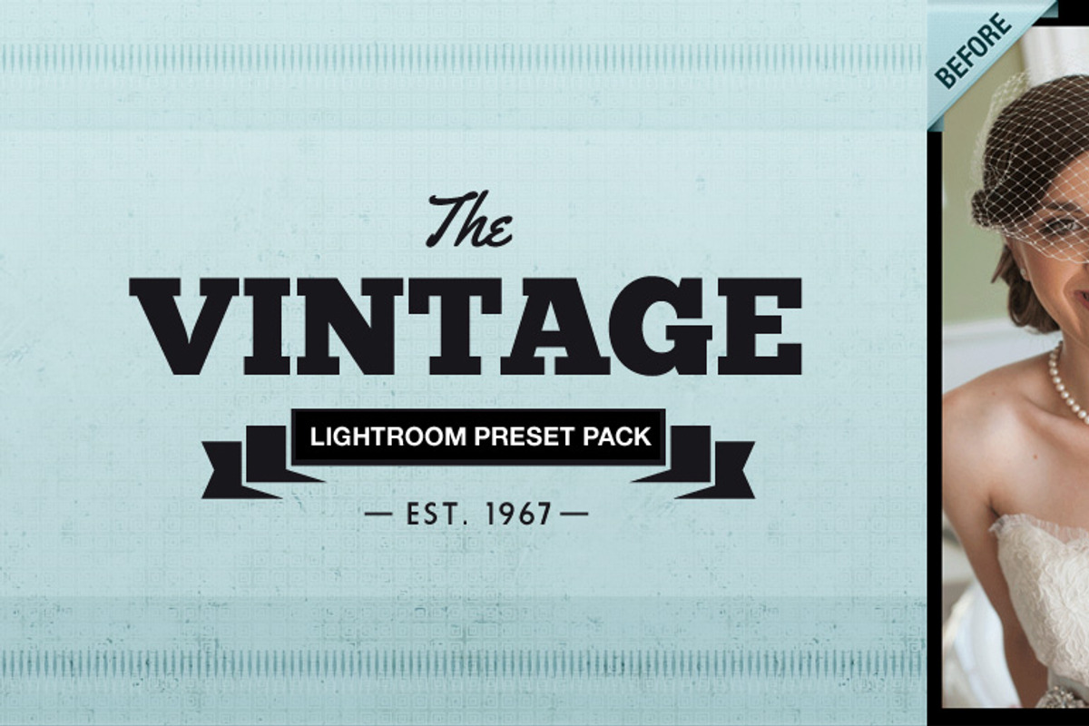 VINTAGE LIGHTROOM PRESETS, an Action Add-On by Digital Photo Buzz Photog (Photo 1 of 5)