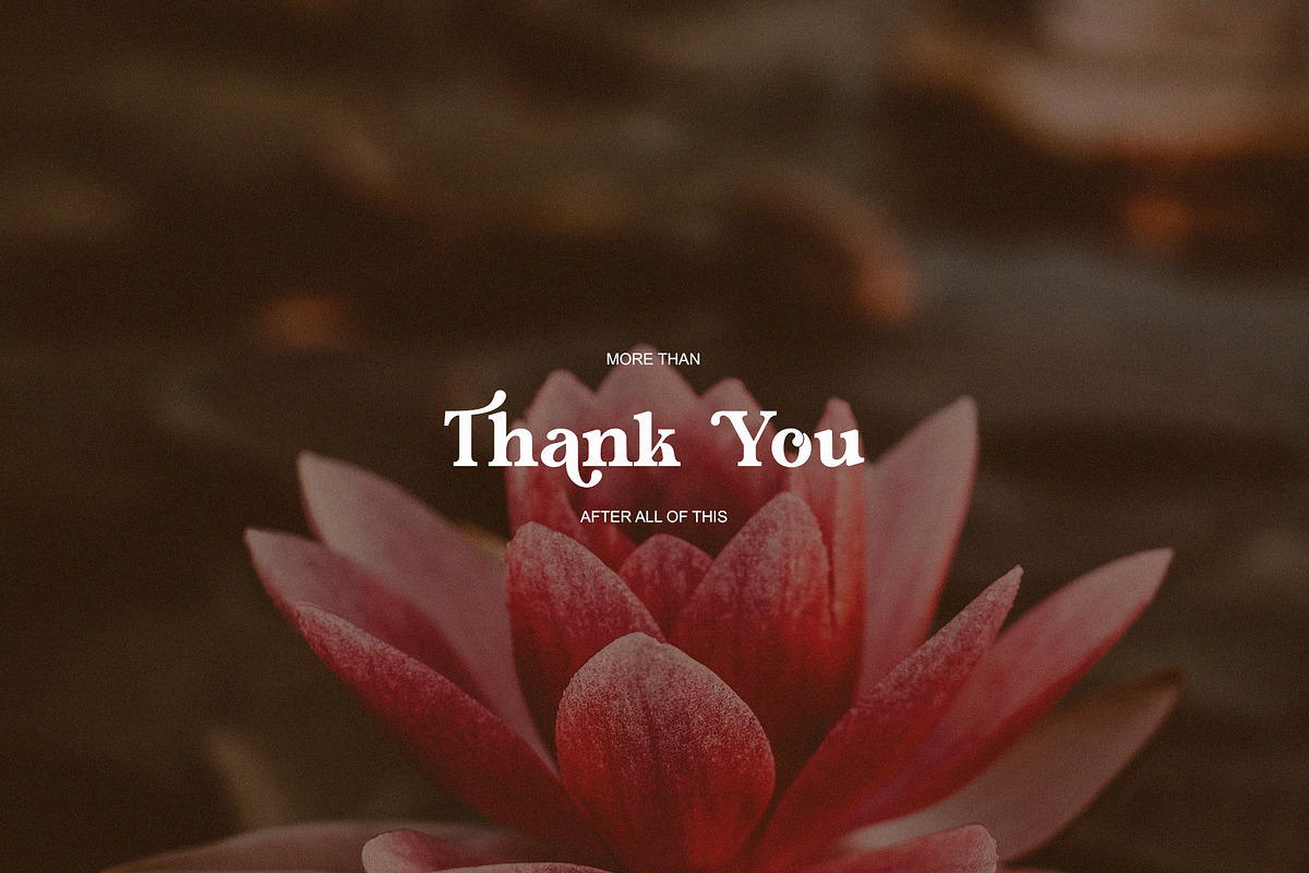 Morina Borick Elegant Ligature Serif, a Serif Font by Alfinart (Photo 10 of 10)
