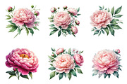 Watercolor Blush Peonies Flowers, an Illustration by CreationArt (Thumbnail 4 of 7)