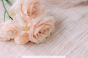 Blush roses stock photos SALE!, a Books & Magazine Mockup by Nellaino (Thumbnail 4 of 4)