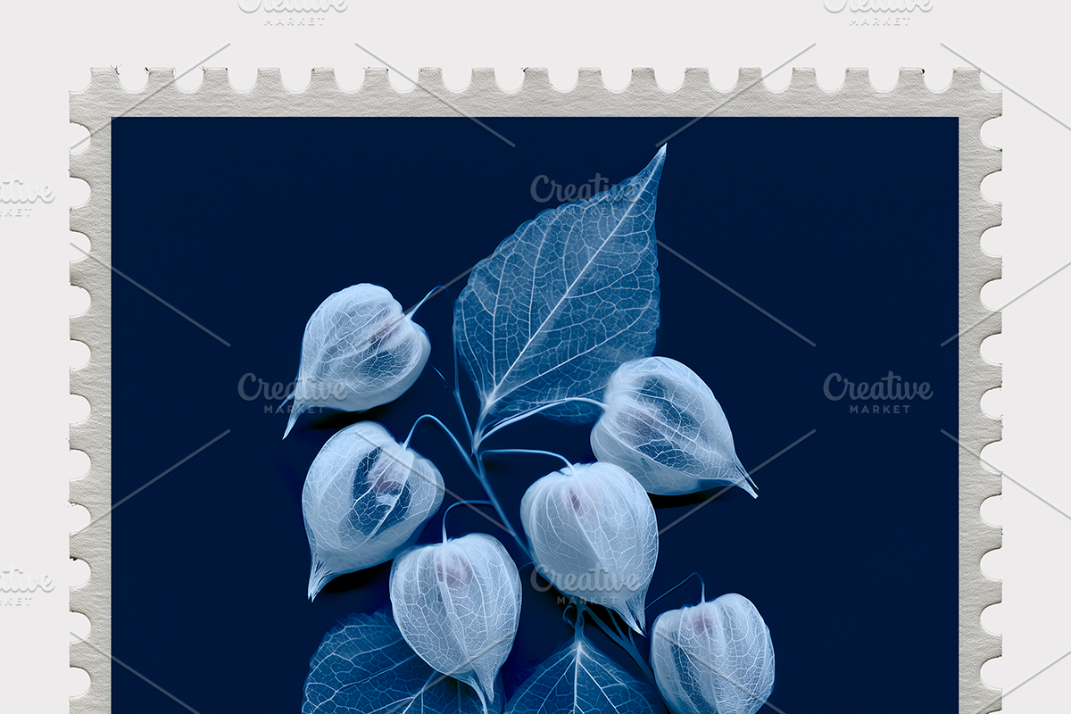 Lupa Co · Cyanotype Botanical Stamps, a Texture Illustration by milatovar (Photo 9 of 18)