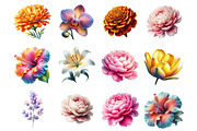 Watercolor Flower Collection Clipart, a Graphic by CitraGraphics (Thumbnail 4 of 5)