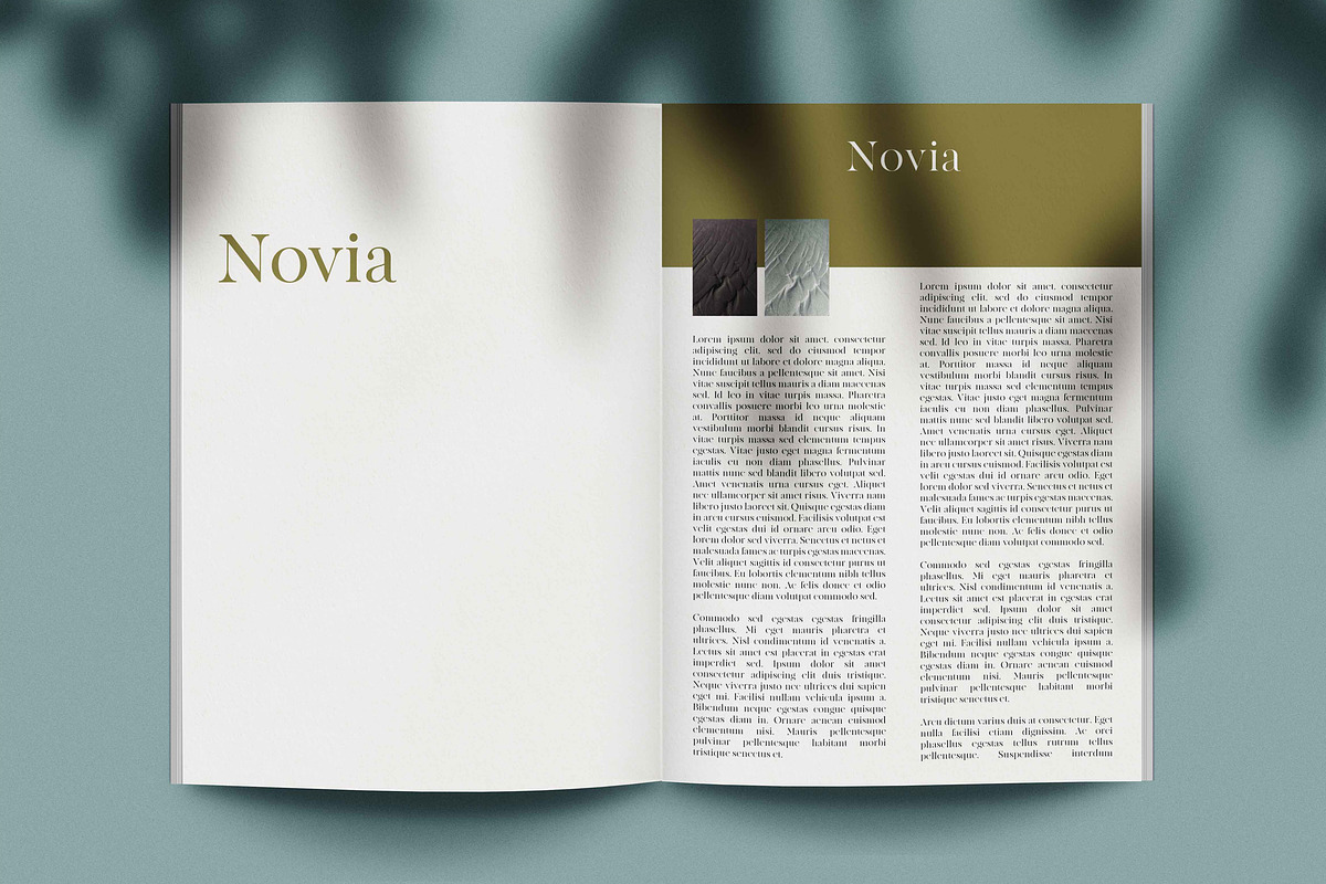 Novia Photo Magazine Mock-Up, a Print Template by Eugene Tantsurin (Photo 11 of 14)