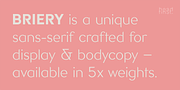 Briery, a Sans Serif Font by HeadFirst (Thumbnail 3 of 18)