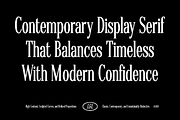 LL Riptide Retro Serif Font, a Serif Font by Lives And Levels (Thumbnail 3 of 13)
