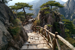 Stone path winds through trees along, a Photo by Pavel_design