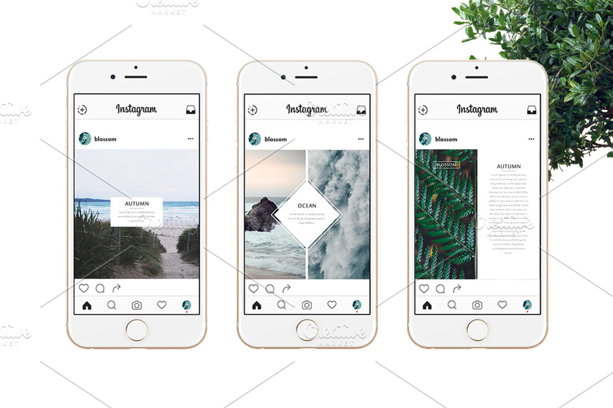 Lifestyle Social Pack / Kit 1, a Social Media Template by Blossom (Photo 4 of 4)